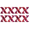 XXXXXXXX