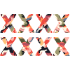 XXXXXXXX