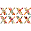 XXXXXXXX