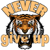 Never give up