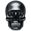 Steampunk Skull