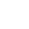 Rugby à XV sud-africain