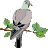 Vogel