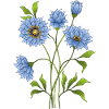 Blumen