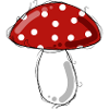 Fly agaric