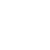 Yorkshire Terrier Daddy