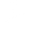 White cat guitarist