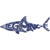 Requin élégant