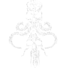 Skulls & Tentacles