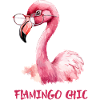 Flamingo chic