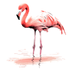 Zig the flamingo