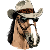 Zako le cheval cowboy
