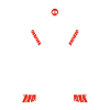 Ice hockey