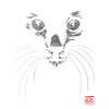 black cat in black