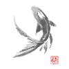 carp koi black
