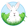 White Rabbit