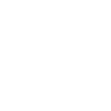 Löwenportrait (weiß)