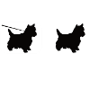En ligne hors ligne Yorkshire Terrier Yorkie