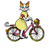 CHAT À VÉLO