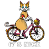 CAT BIKE C’EST SYMPA