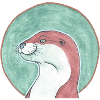 230830 Otter 4