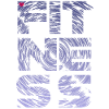 FITNESS storm II