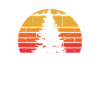 Single Pine Tree Sun