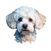 Conception de polygones caniche