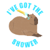 Capybara Capybara Funny Rodent