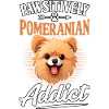 Pomeranian Pawsitively Addict