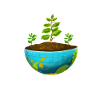 Earth Day Everyday Environmental Awareness