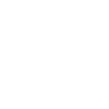 Painter Varnisher