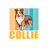 Cadeaux Collie