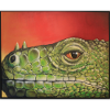 Crocodile cycle
