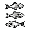 Fisch-Raserei