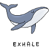 The Exhale Whale