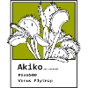 Venus Flytrap Akiko