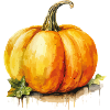 Pumpkin