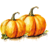 Gourds