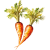 Carrots 2