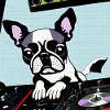 Dog DJ Pop Art