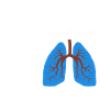 Inhalothérapeute Respiration pulmonaire