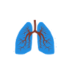 Thérapeute respiratoire Thérapie respiratoire