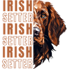 Irish Setter Lover Geometry