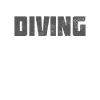 Dive