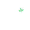 Vegan