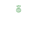 Darts