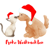 Dog and Cat - Merry Christmas