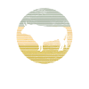Bull