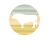 Taureau